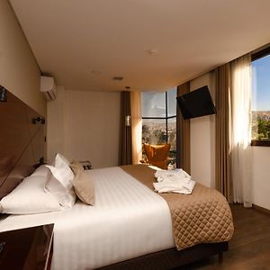 Hotel Mitru Sur
